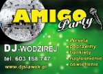 Amigo Party - DJ,Wodzirej-Muzyczna oprawa imprez.