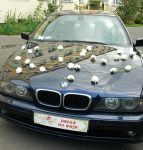 BMW E-39 granatowy metalic