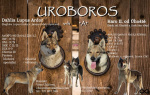Czechosłowacki Wilczak szczenię z rodowodem „A” UROBOROS