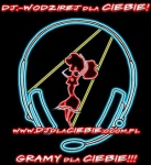 dj wesele, wolne terminy dj wodzirej Kraków 2012 2013, Krakó