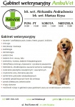 Gabinet weterynaryjny AMBUVET usługi