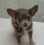 Jeden mężczyzna (zdjęcie 1) i 2 kobiety (zdjęcie 2,3)