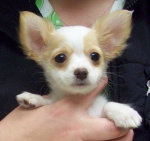 Jeden mężczyzna (zdjęcie 1) i 2 kobiety (zdjęcie 2,3)