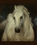 Koń - pastele
