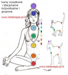 kurs masażu Reiki terapie naturalne Biomasaż Bioterapia 