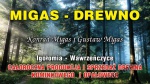 Migas Drewno