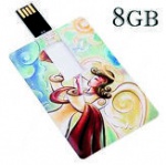 Model / wzór Karta USB