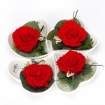 packshot multiarte fotograf Tomasz Pawlak