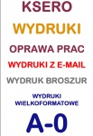 plotowanie wydruki poster plansze A1 A2 A0 B1 B2