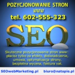 pozycjonowanie stron Częstochowa