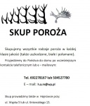 skup poroża