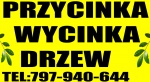 wycinka drzew