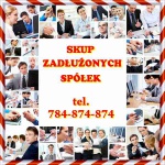 Zadłużona Spółka Zarządzanie Kryzysem Kontrole