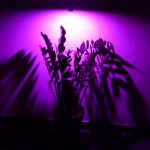 zarowki do uprawy roslin hps led 5 6W 220v E27