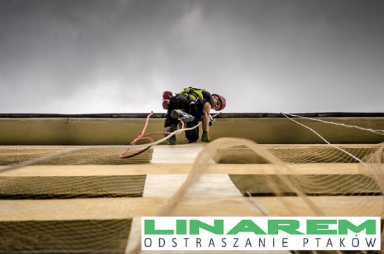 Montaż siatek na gołębie. Montaż siatek przeciw gołebiom. Montaż siatek na ptaki.