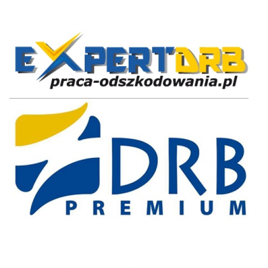 Specjalista d/s odkupu szkód 